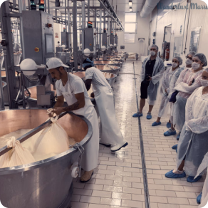 Industry Visits